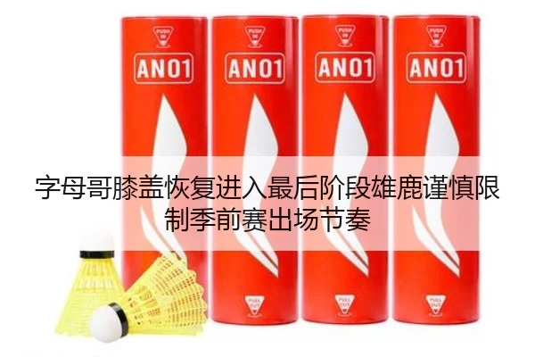 字母哥膝盖恢复进入最后阶段雄鹿谨慎限制季前赛出场节奏
